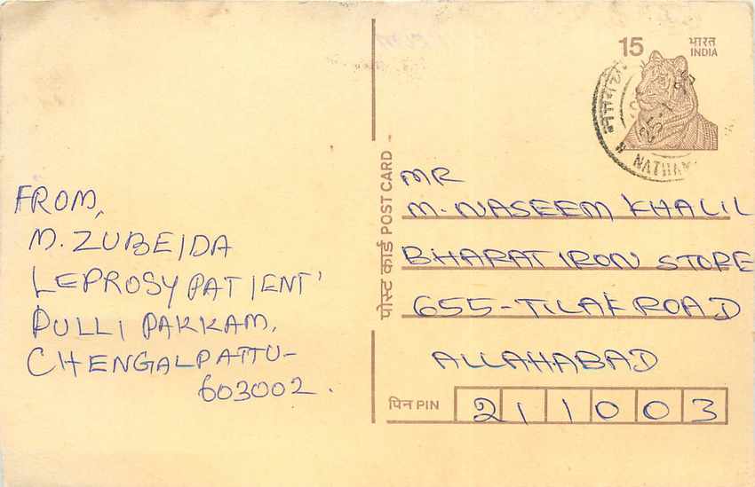 Inde India Cover Card Postal Stationary Tigre