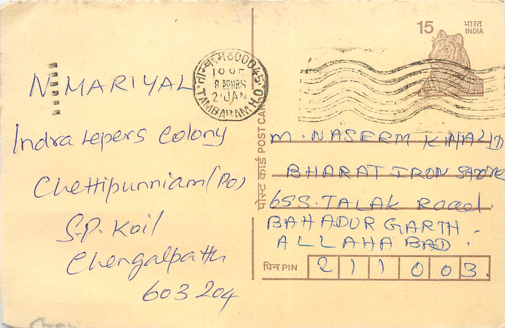 Inde India Cover Card Postal Stationary Tigre