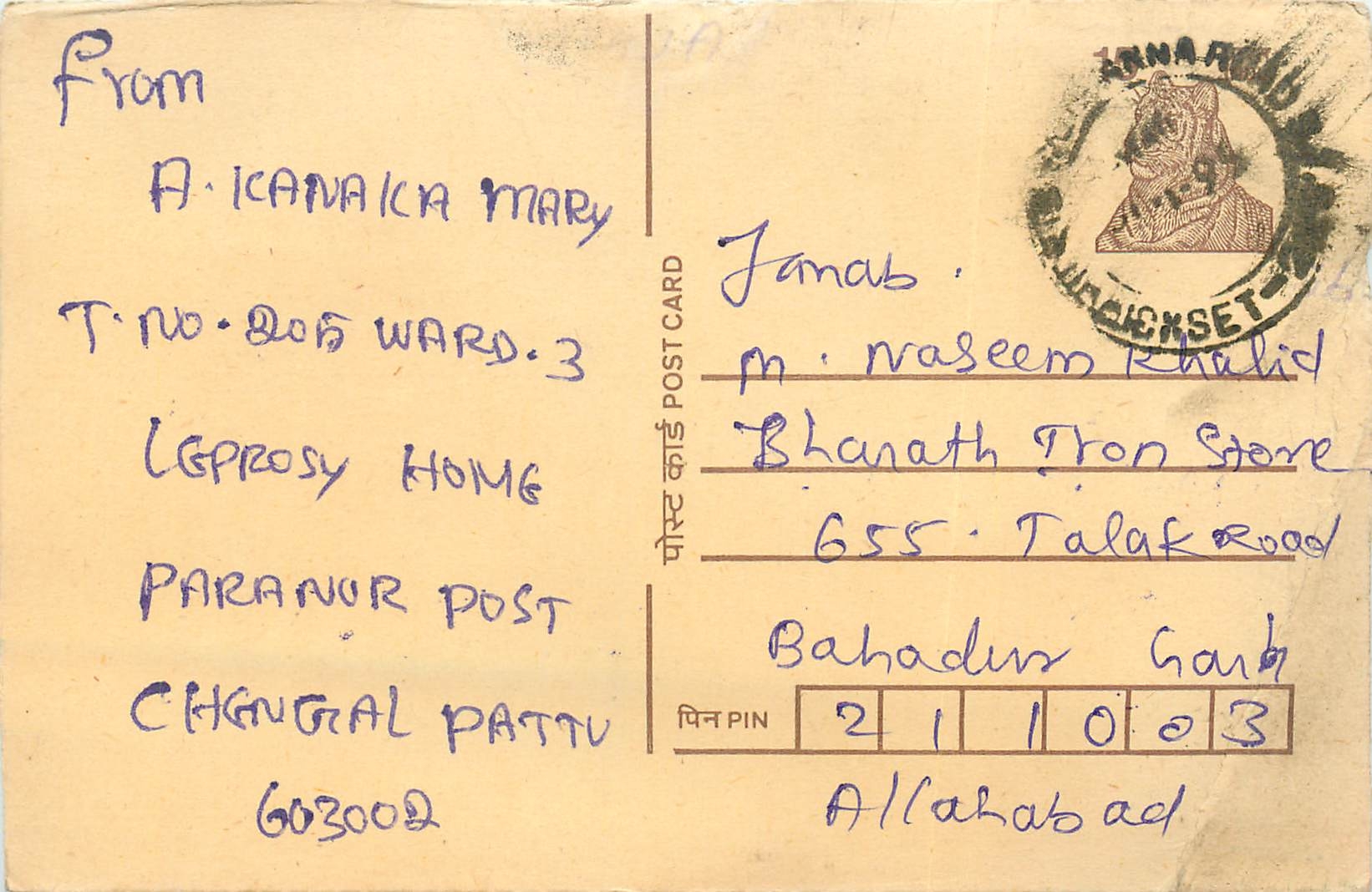 Inde India Cover Card Postal Stationary Tigre