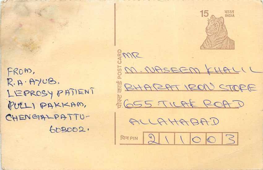 Inde India Cover Card Postal Stationary Tigre
