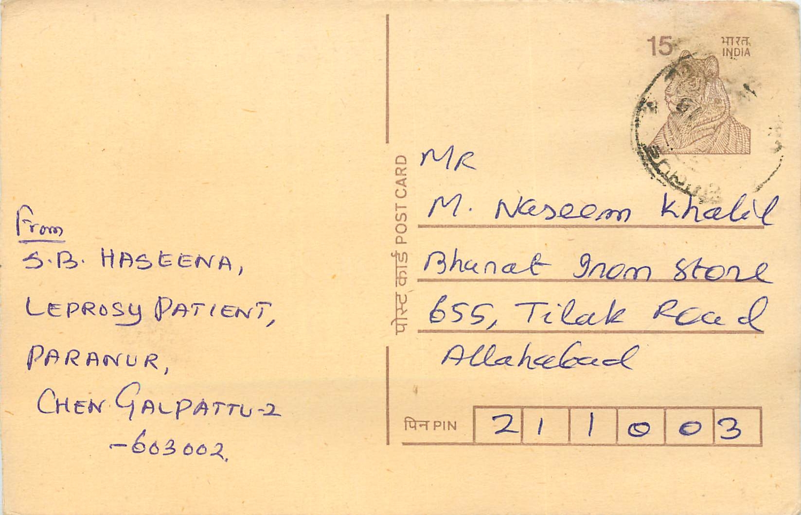 Inde India Cover Card Postal Stationary Tigre