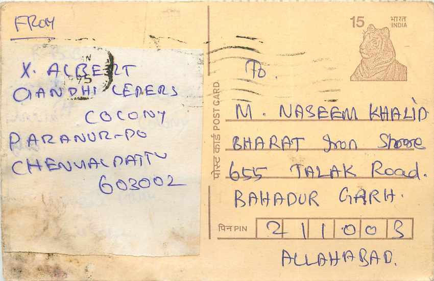 Inde India Cover Card Postal Stationary Tigre