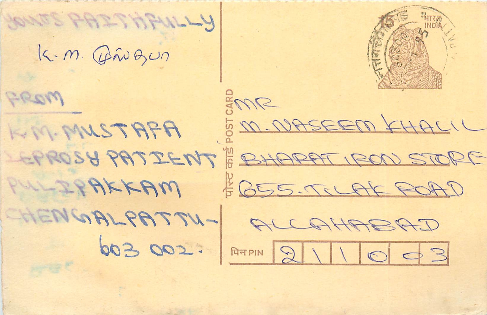 Inde India Cover Card Postal Stationary Tigre