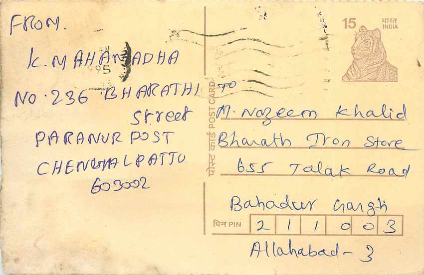 Inde India Cover Card Postal Stationary Tigre