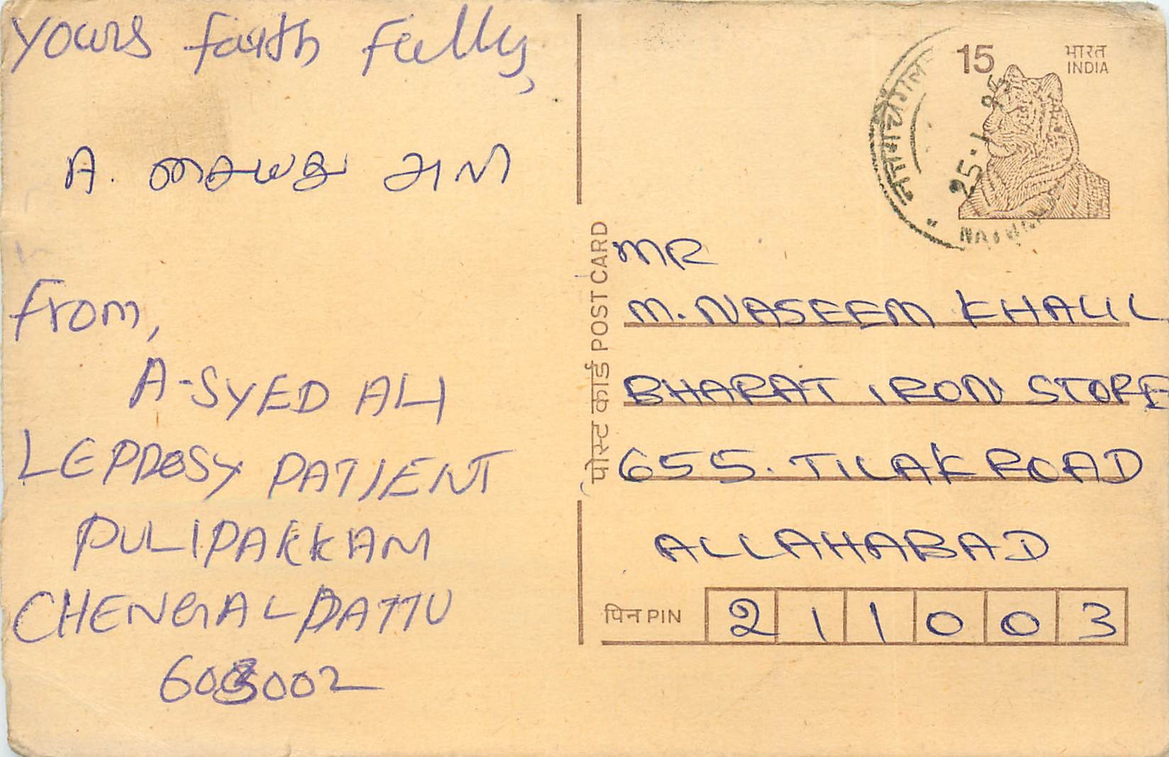 Inde India Cover Card Postal Stationary Tigre