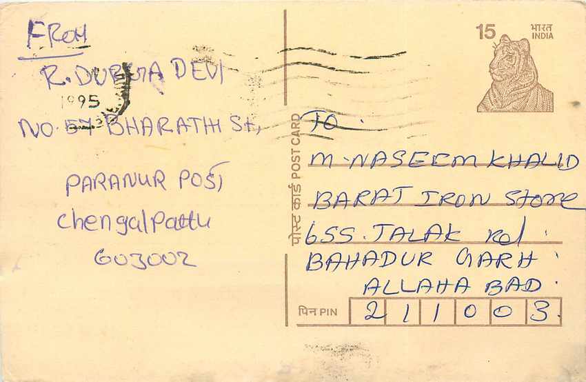 Inde India Cover Card Postal Stationary Tigre