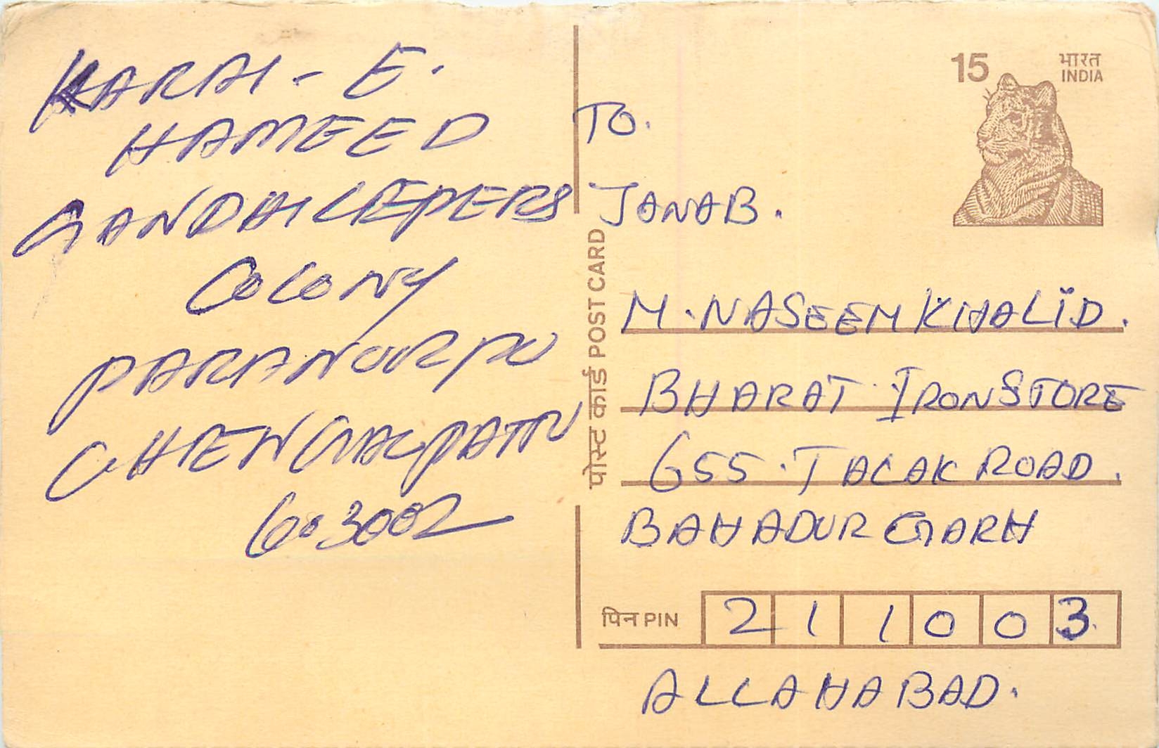 Inde India Cover Card Postal Stationary Tigre