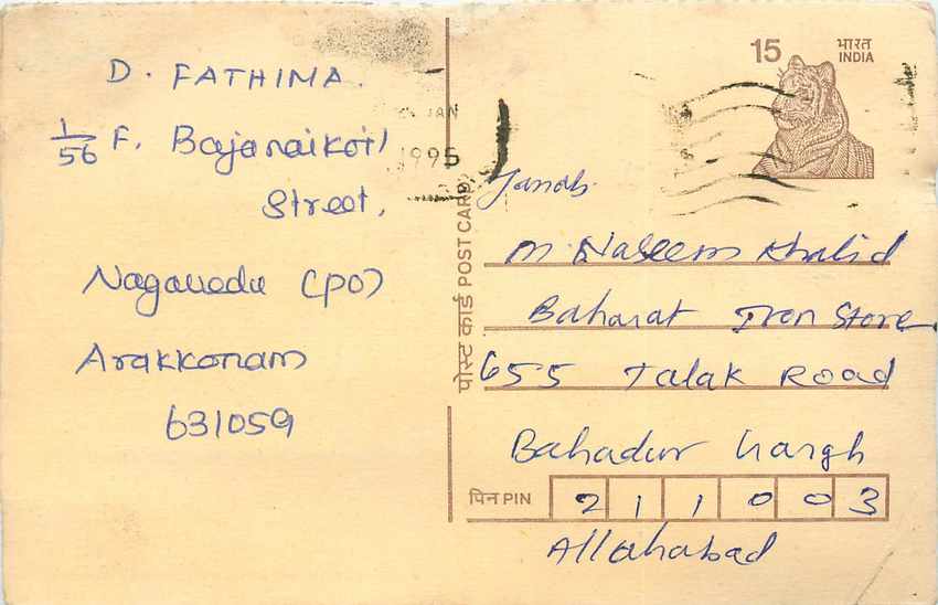 Inde India Cover Card Postal Stationary Tigre