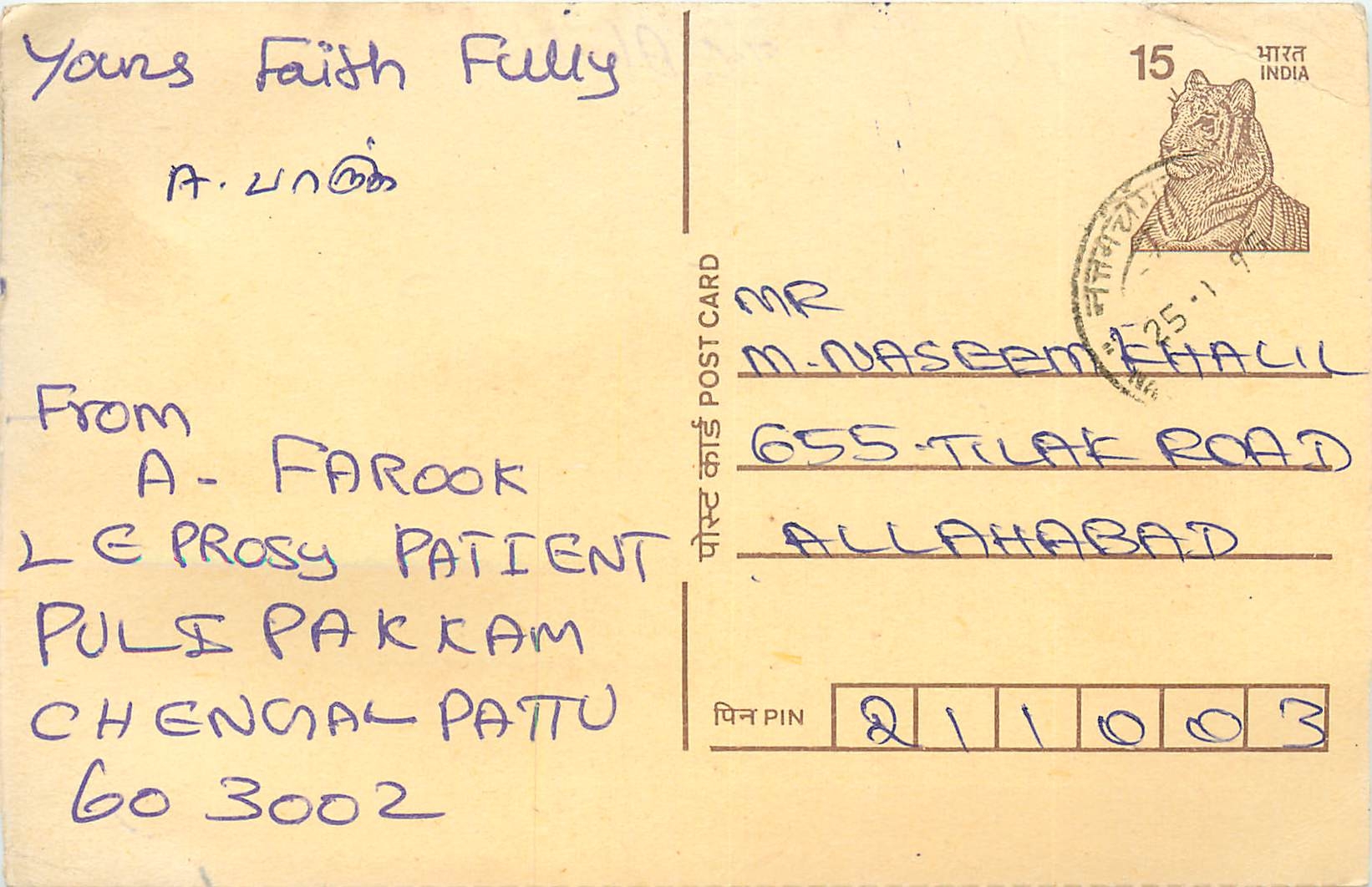 Inde India Cover Card Postal Stationary Tigre