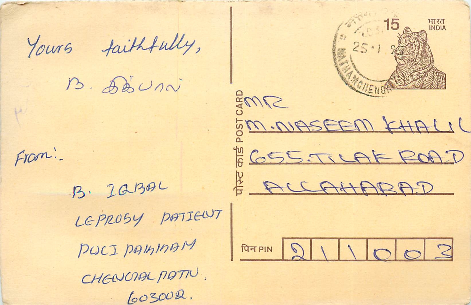Inde India Cover Card Postal Stationary Tigre