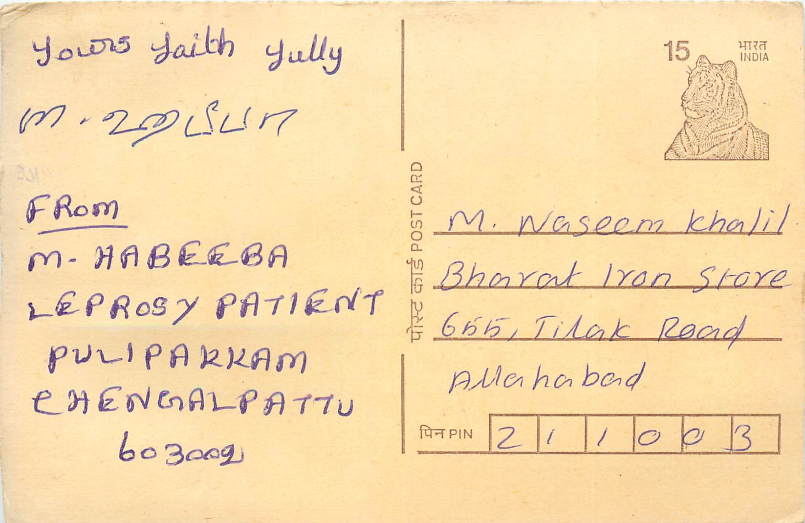 Inde India Cover Card Postal Stationary Tigre
