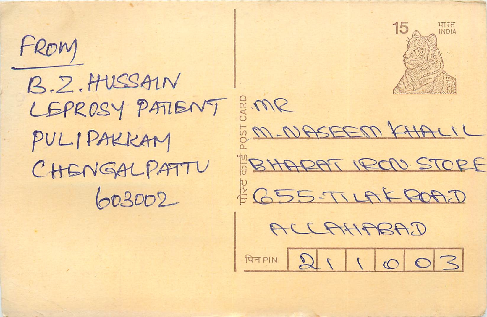 Inde India Cover Card Postal Stationary Tigre