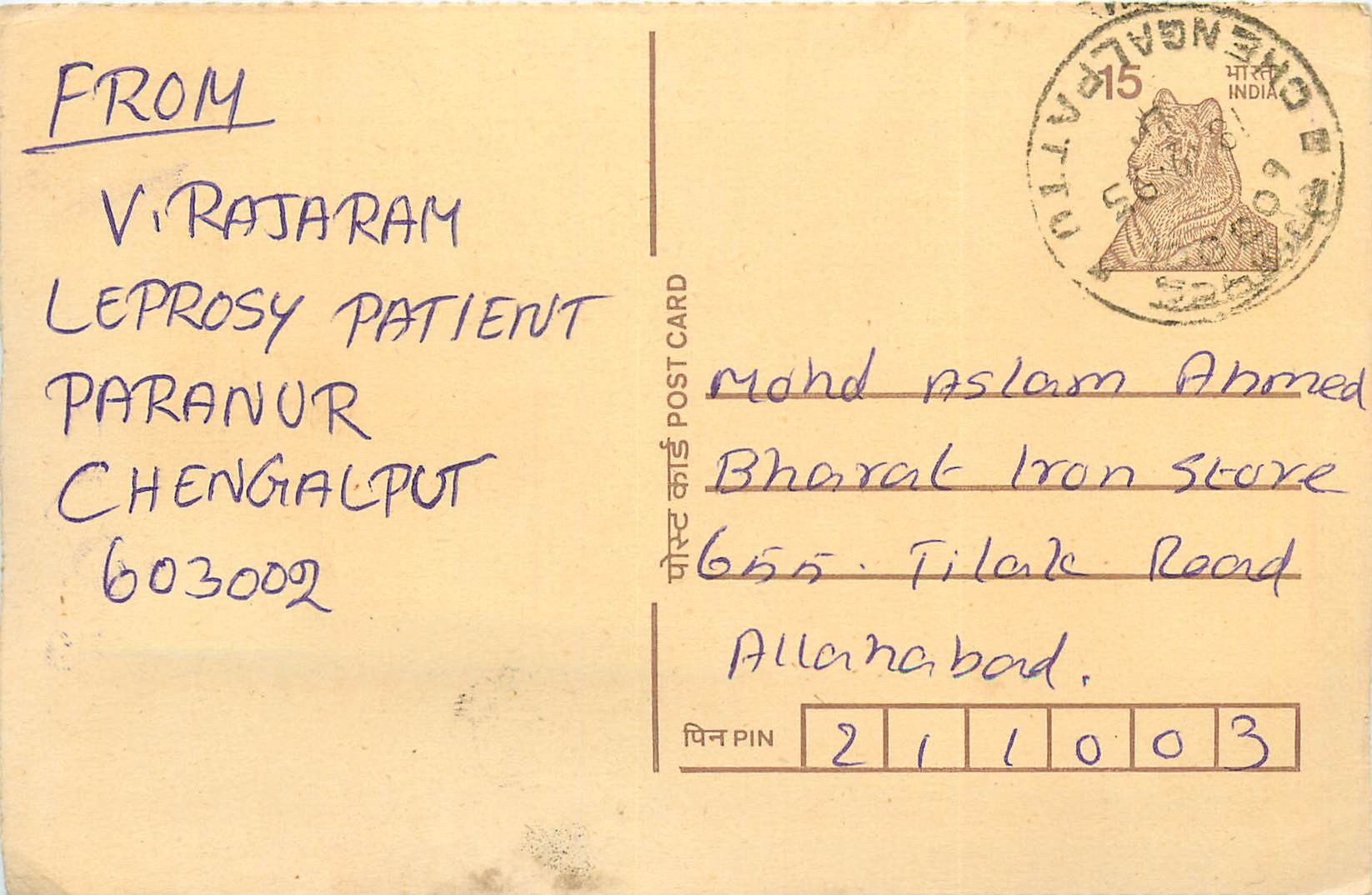 Inde India Cover Card Postal Stationary Tigre