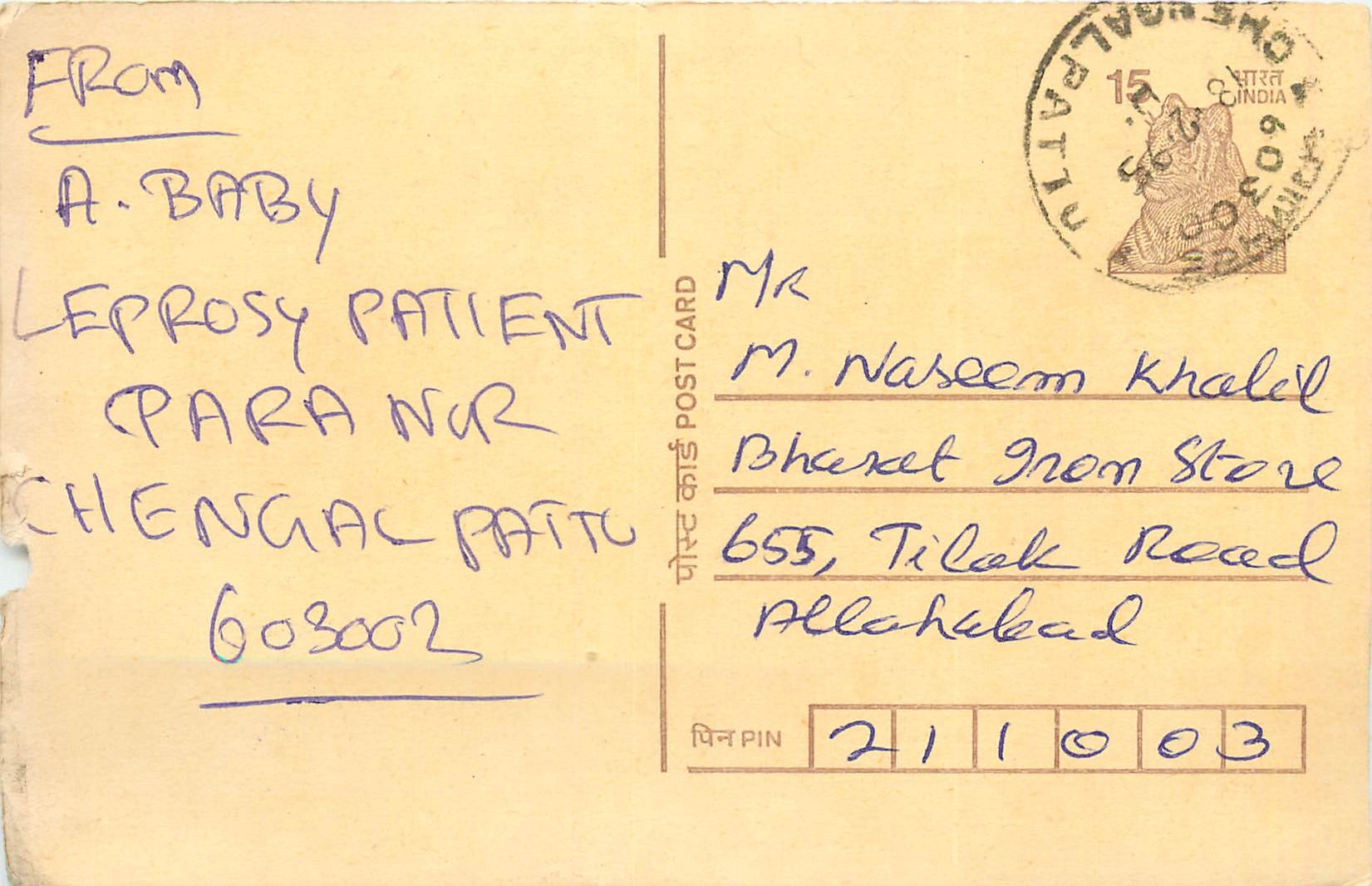 Inde India Cover Card Postal Stationary Tigre