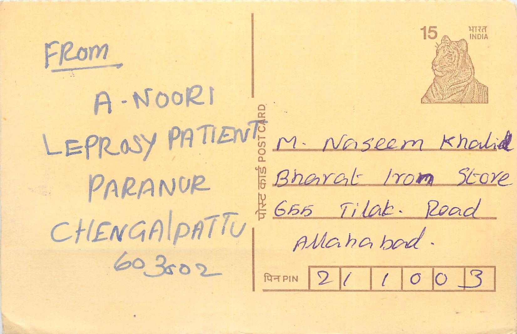 Inde India Cover Card Postal Stationary Tigre