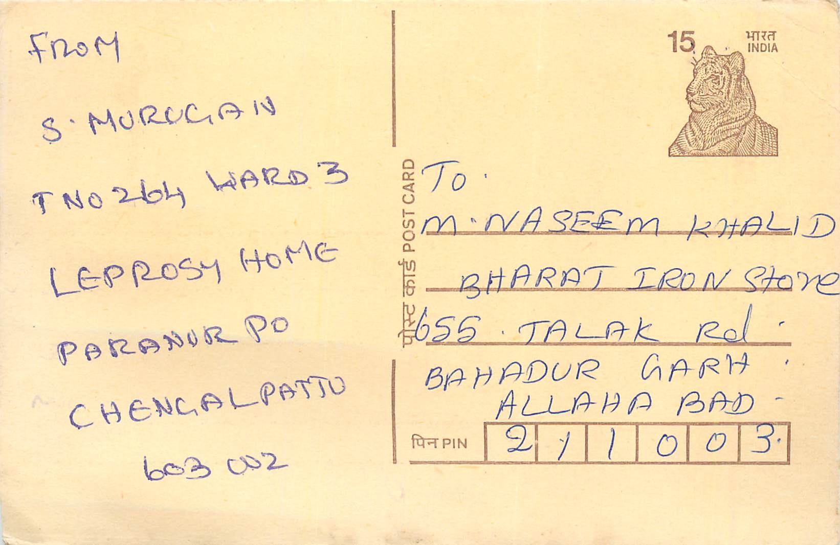 Inde India Cover Card Postal Stationary Tigre