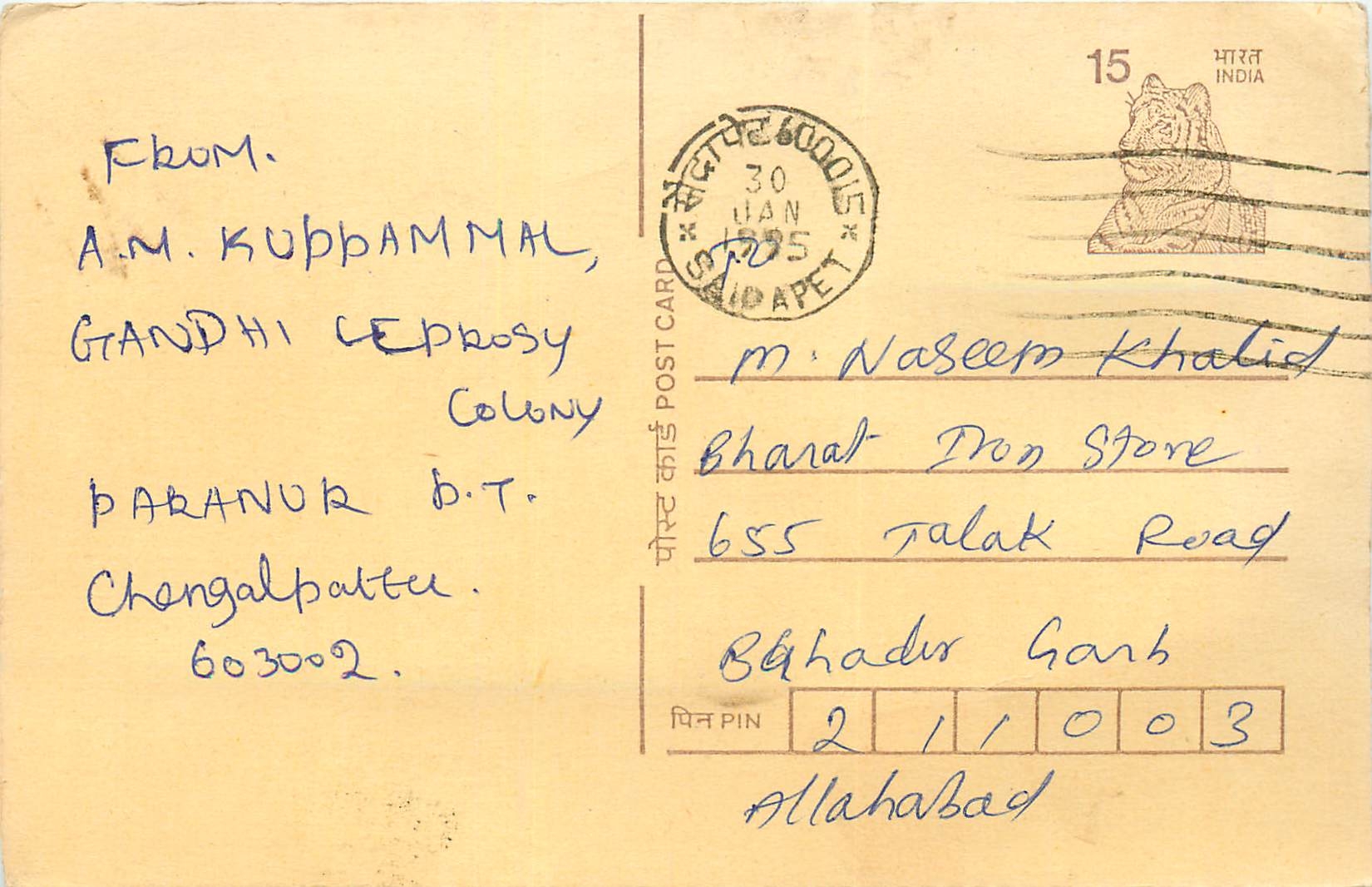 Inde India Cover Card Postal Stationary Tigre