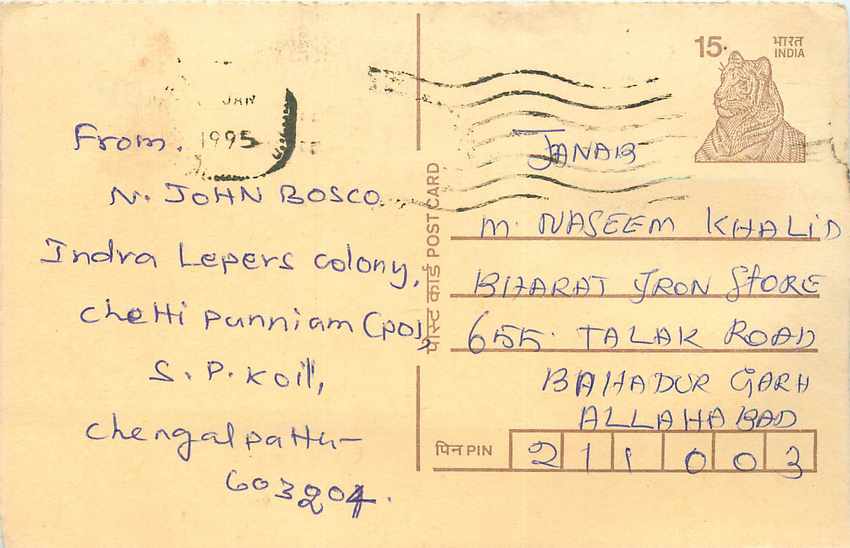 Inde India Cover Card Postal Stationary Tigre