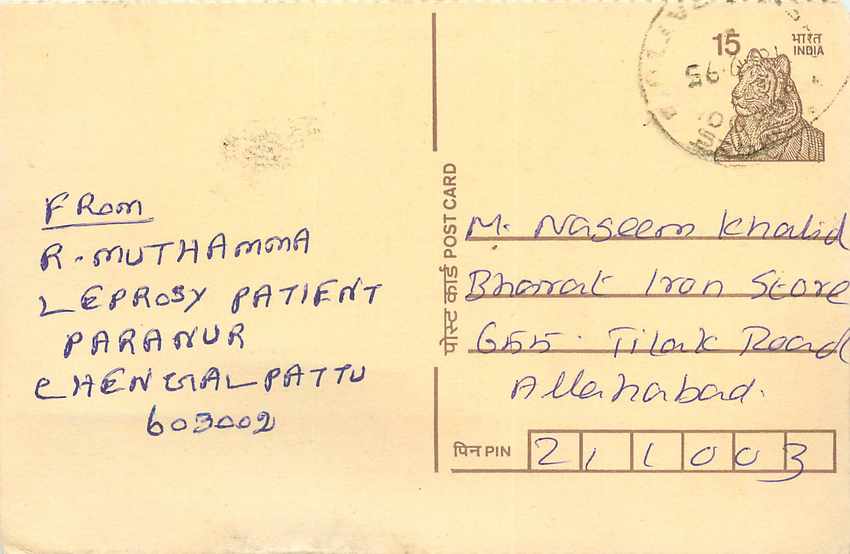Inde India Cover Card Postal Stationary Tigre