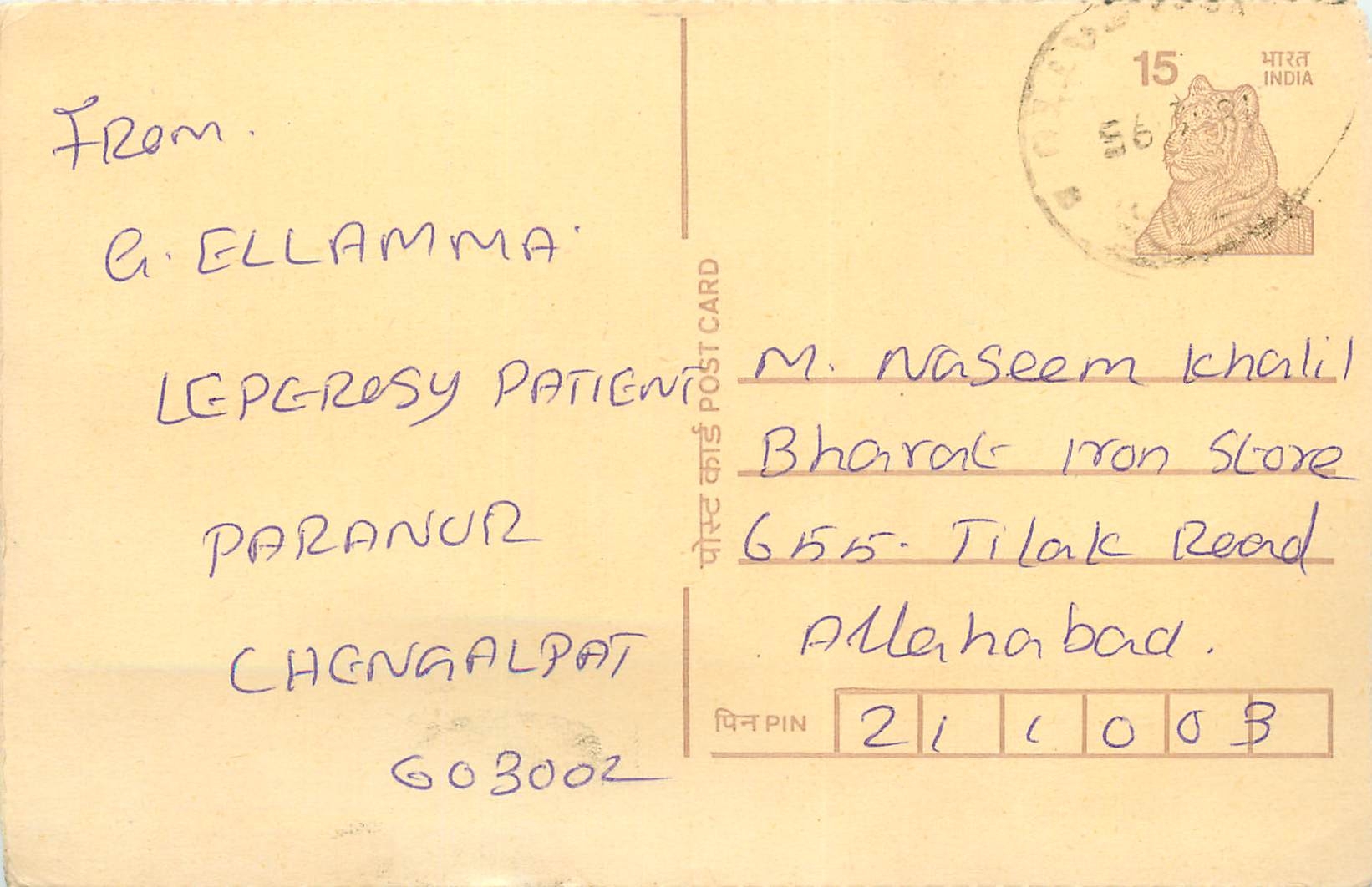 Inde India Cover Card Postal Stationary Tigre