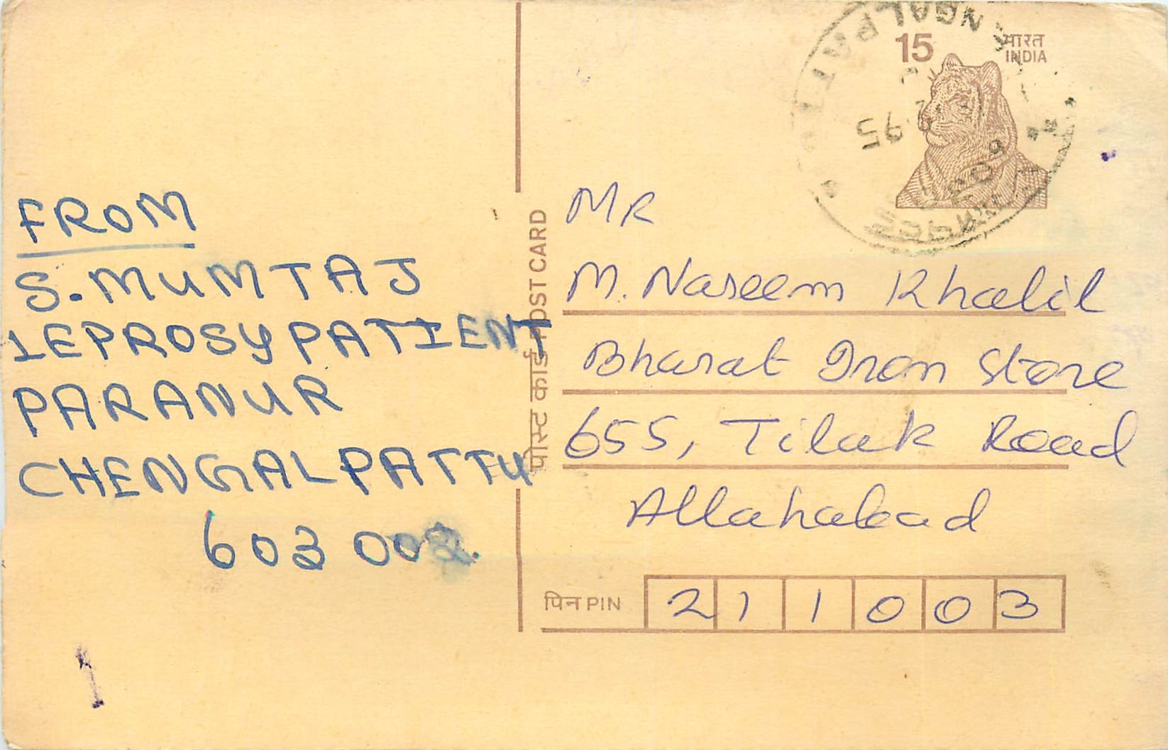 Inde India Cover Card Postal Stationary Tigre