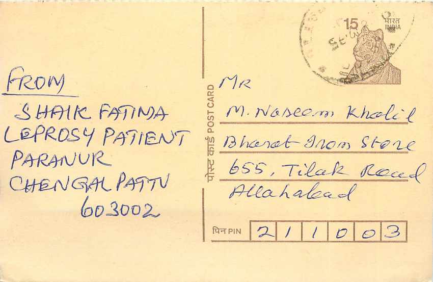 Inde India Cover Card Postal Stationary Tigre