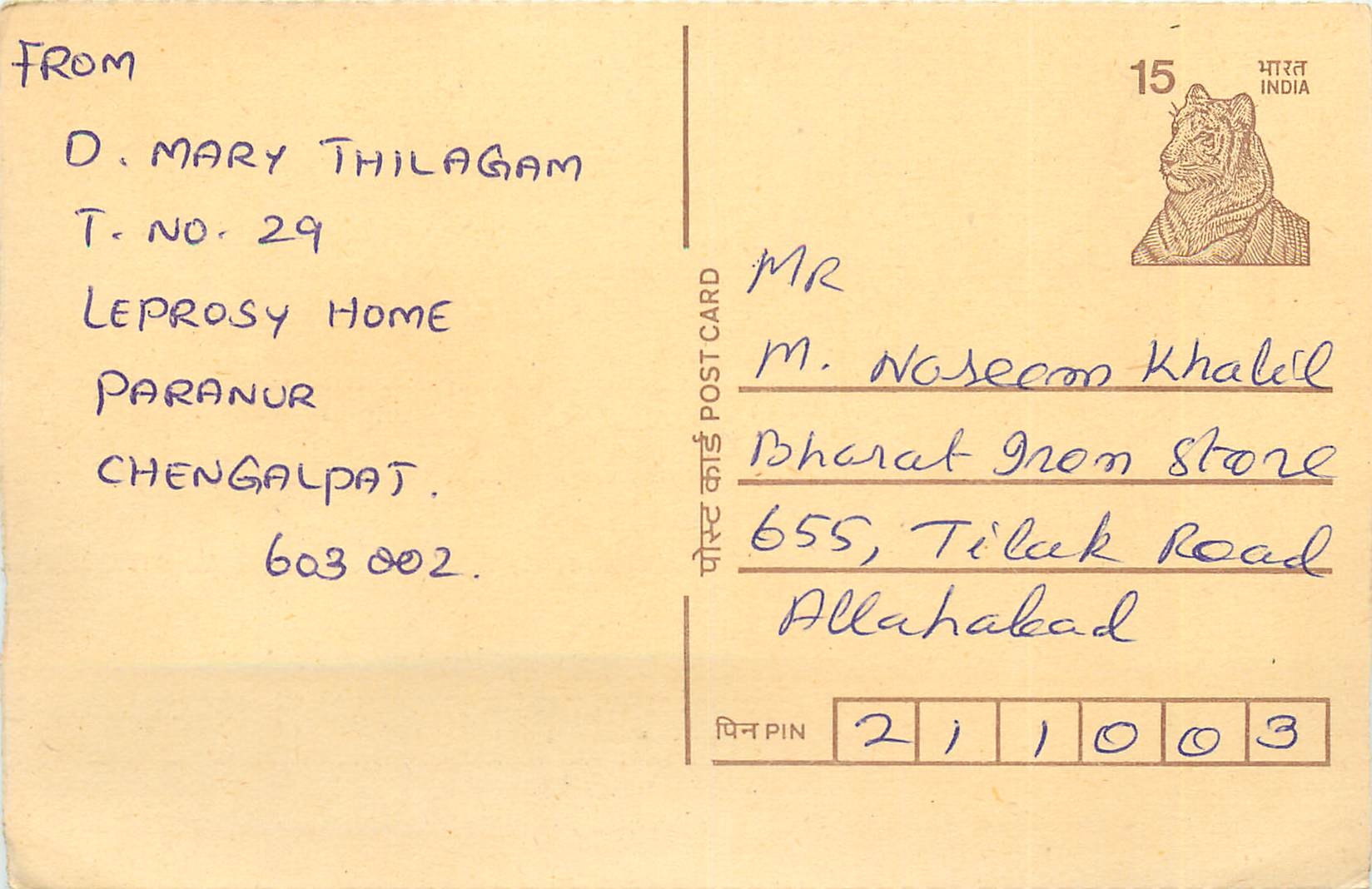 Inde India Cover Card Postal Stationary Tigre