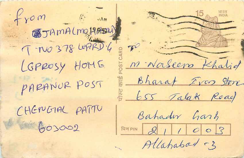 Inde India Cover Card Postal Stationary Tigre