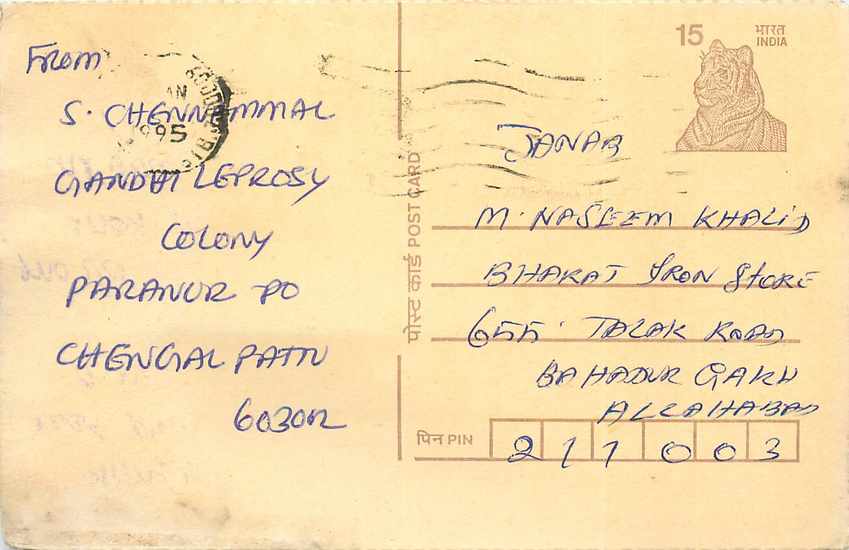 Inde India Cover Card Postal Stationary Tigre