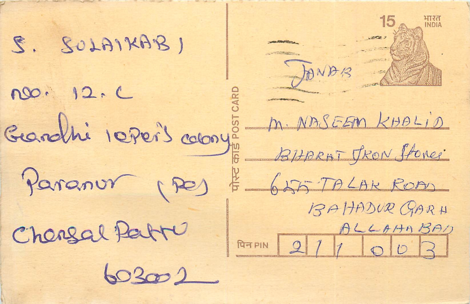 Inde India Cover Card Postal Stationary Tigre