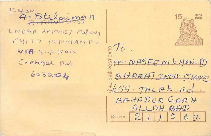 Inde India Cover Card Postal Stationary Tigre
