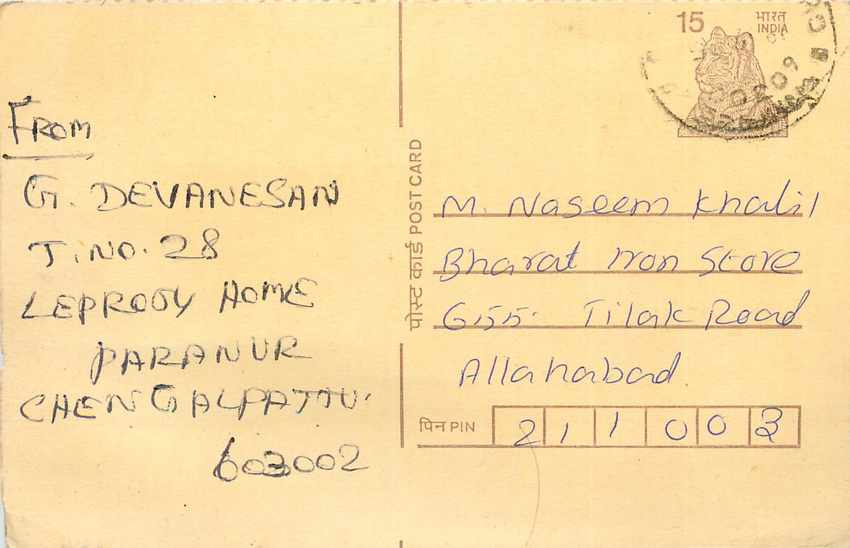 Inde India Cover Card Postal Stationary Tigre