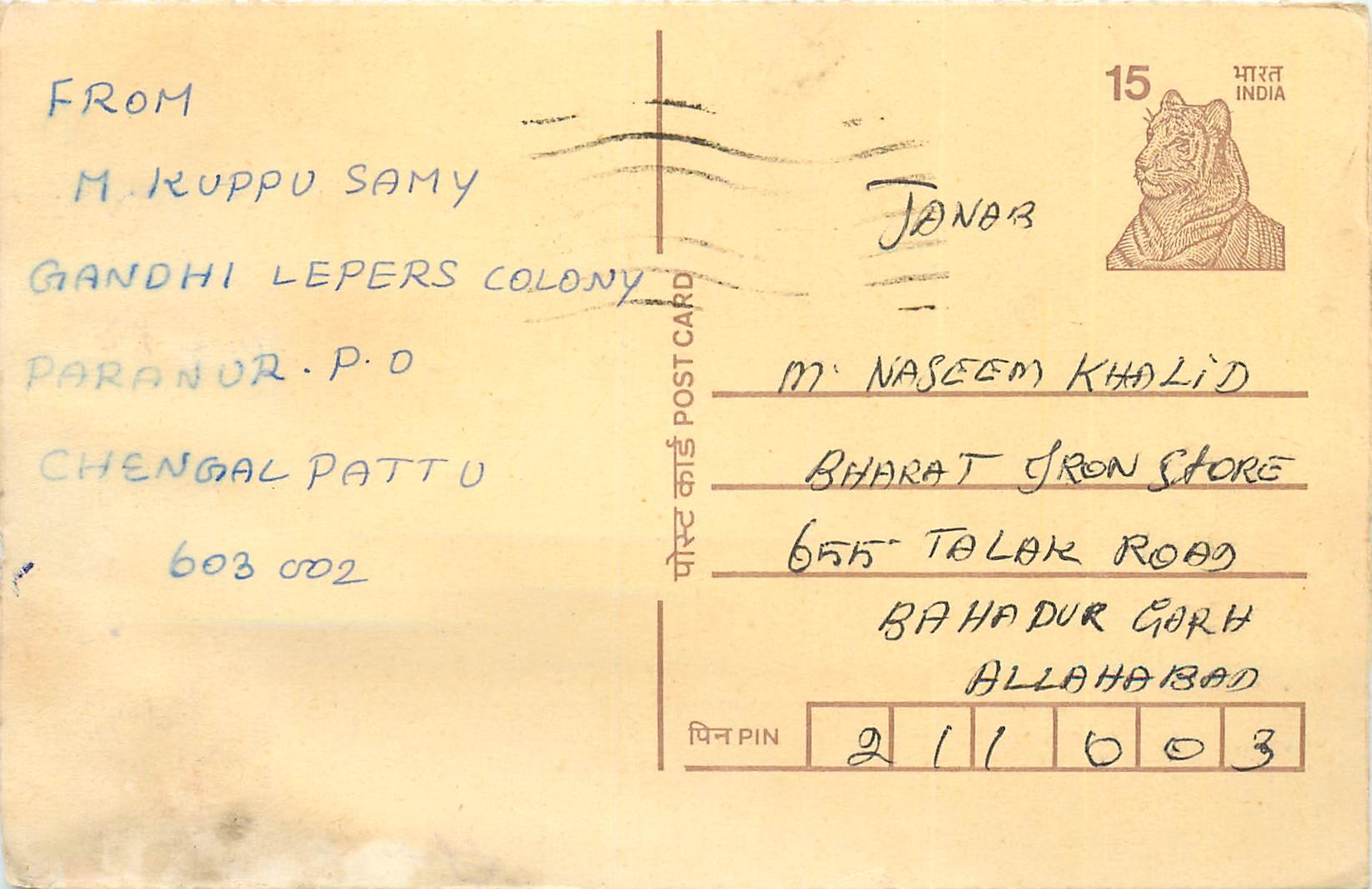 Inde India Cover Card Postal Stationary Tigre
