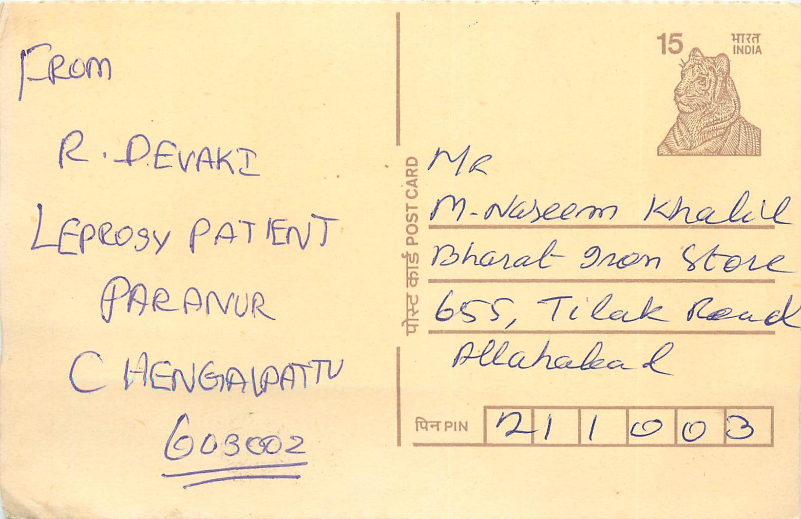 Inde India Cover Card Tigre Tiger