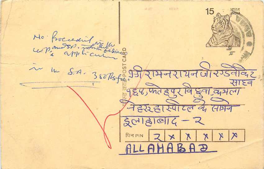 Inde India Cover Card Tigre Tiger