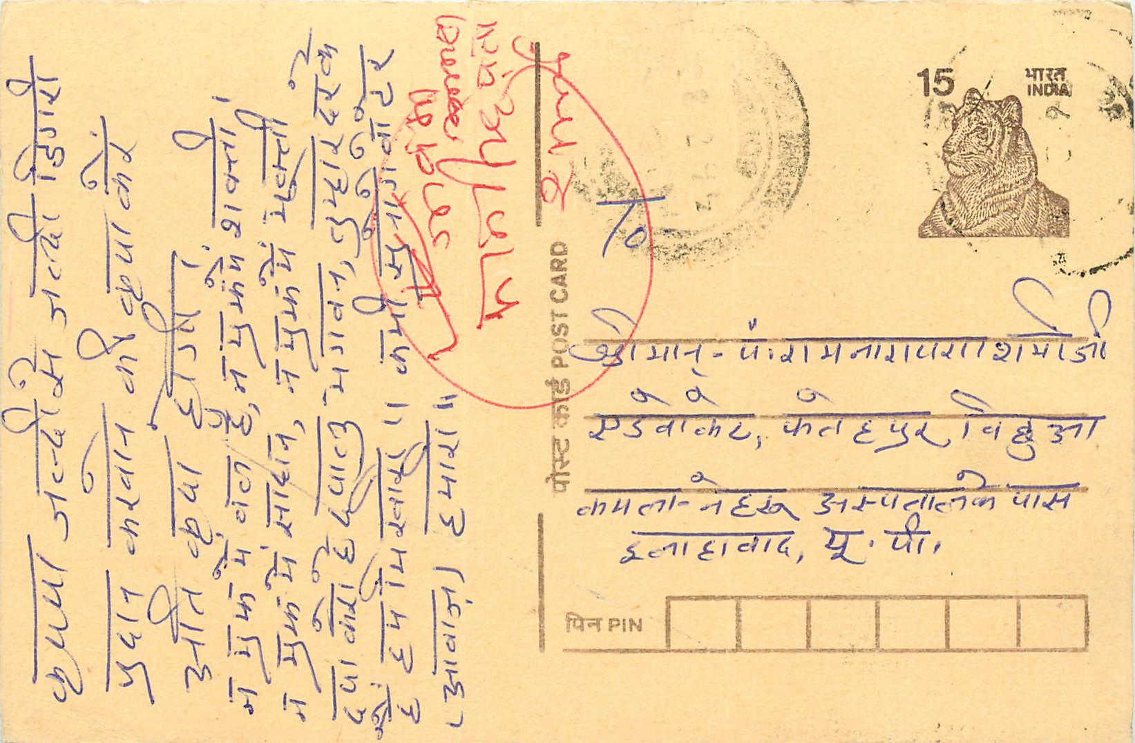 Inde India Cover Card Tigre Tiger