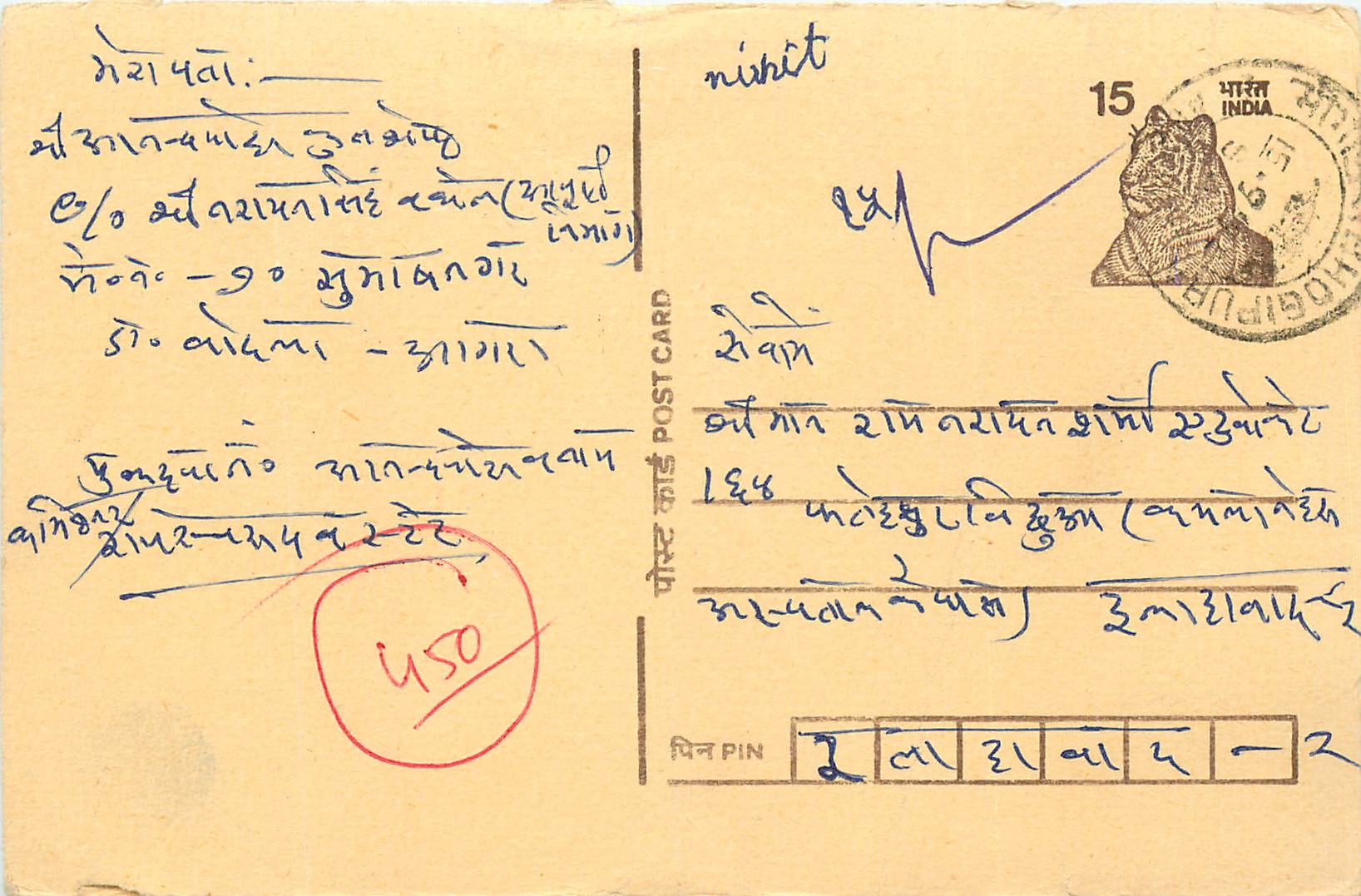 Inde India Cover Card Tigre Tiger