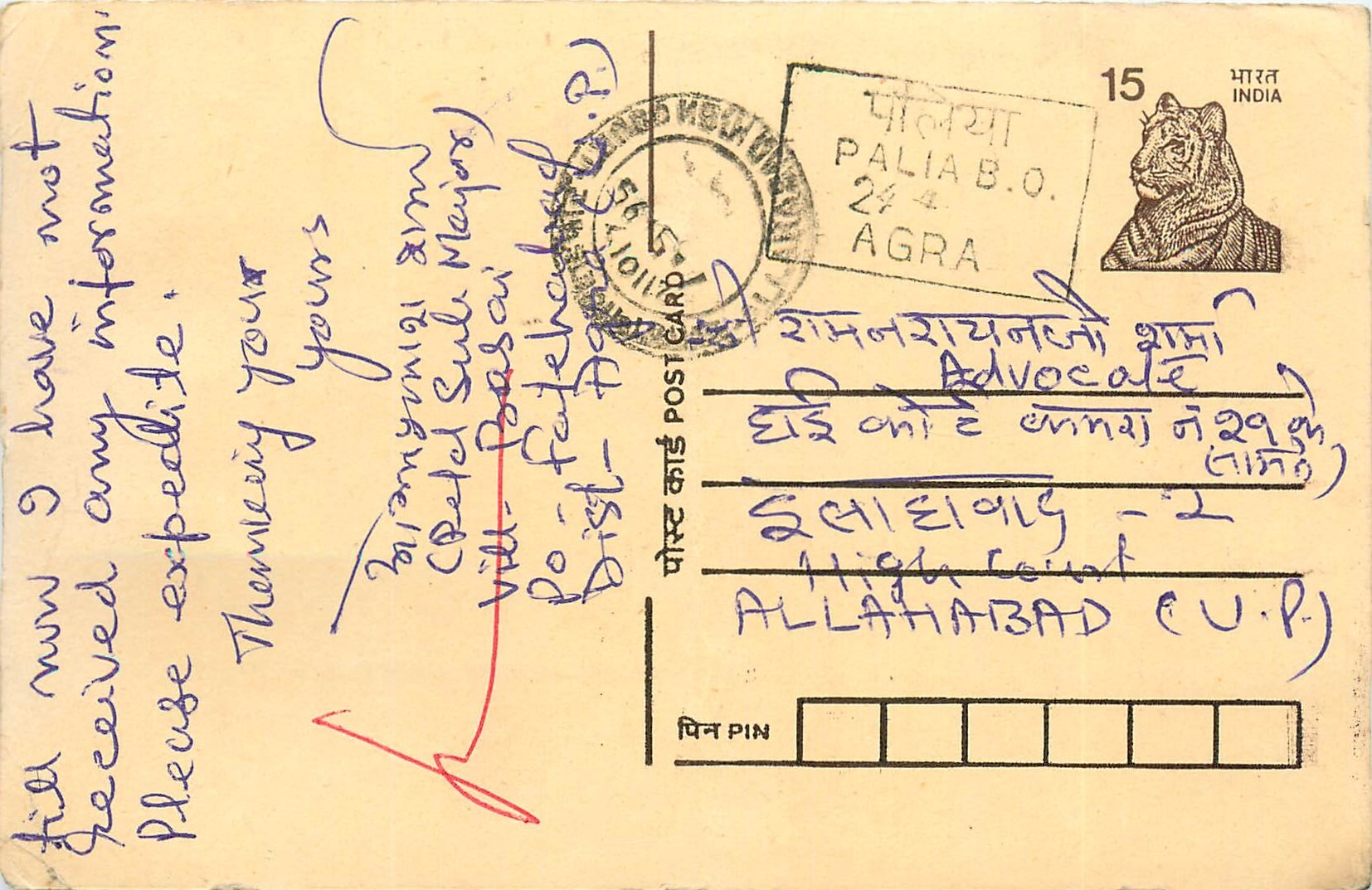 Inde India Cover Card Tigre Tiger