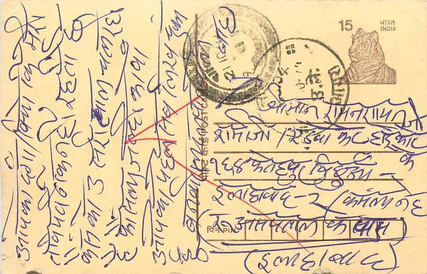 Inde India Cover Card Tigre Tiger