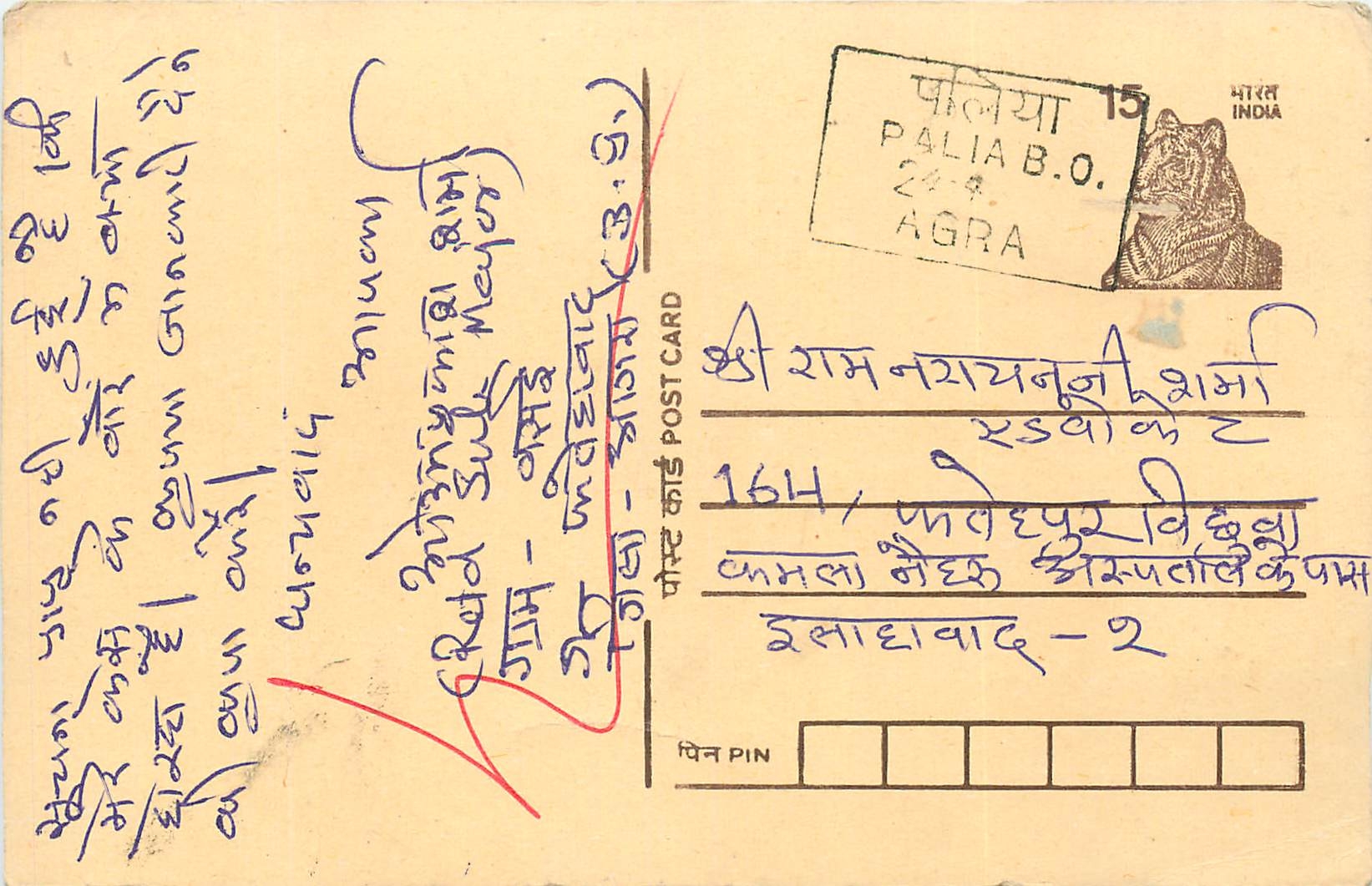 Inde India Cover Card Tigre Tiger
