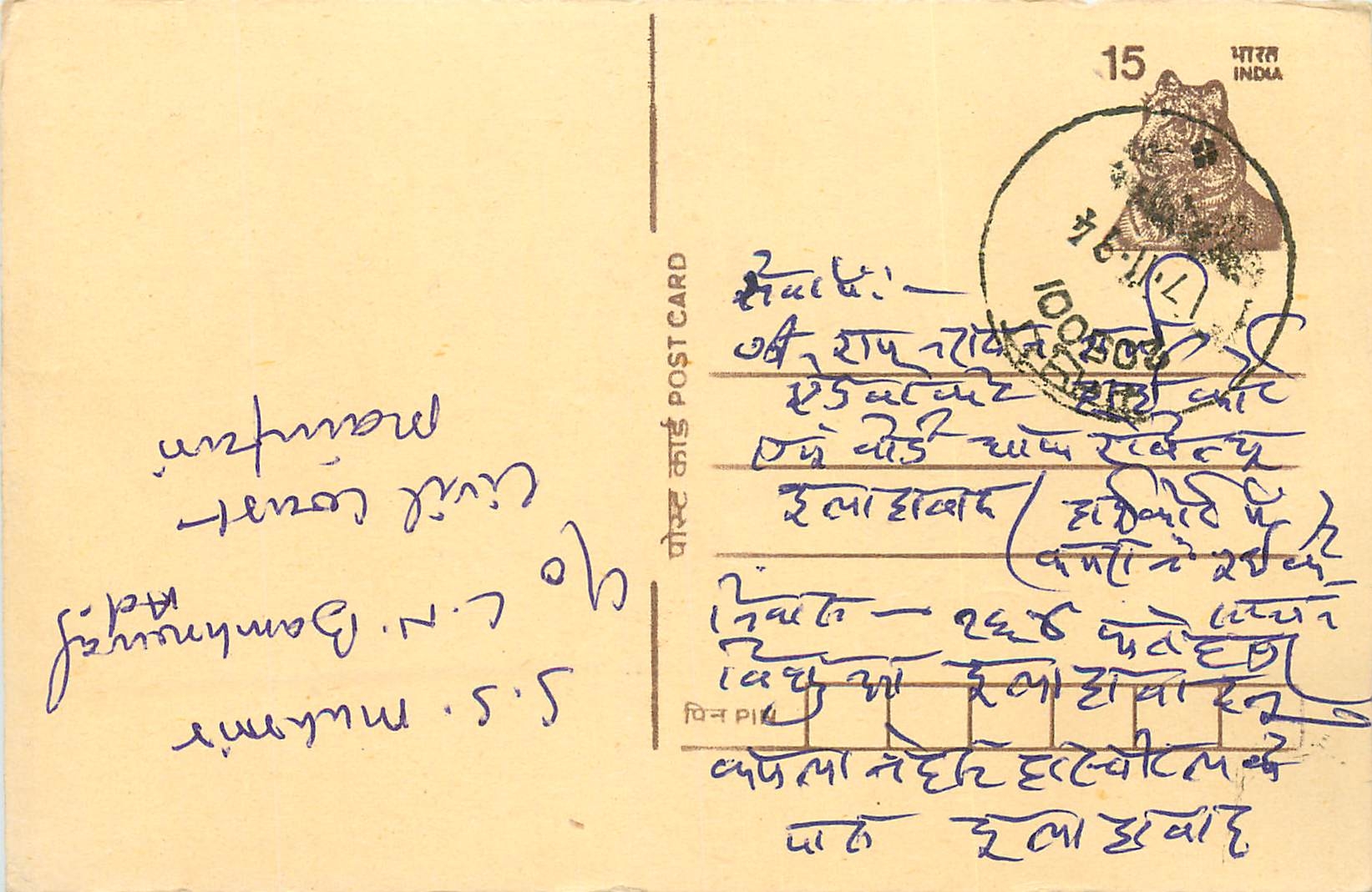 Inde India Cover Card Tigre Tiger
