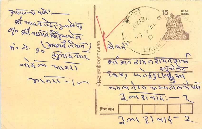 Inde India Cover Card Tigre Tiger