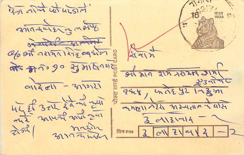 Inde India Cover Card Tigre Tiger