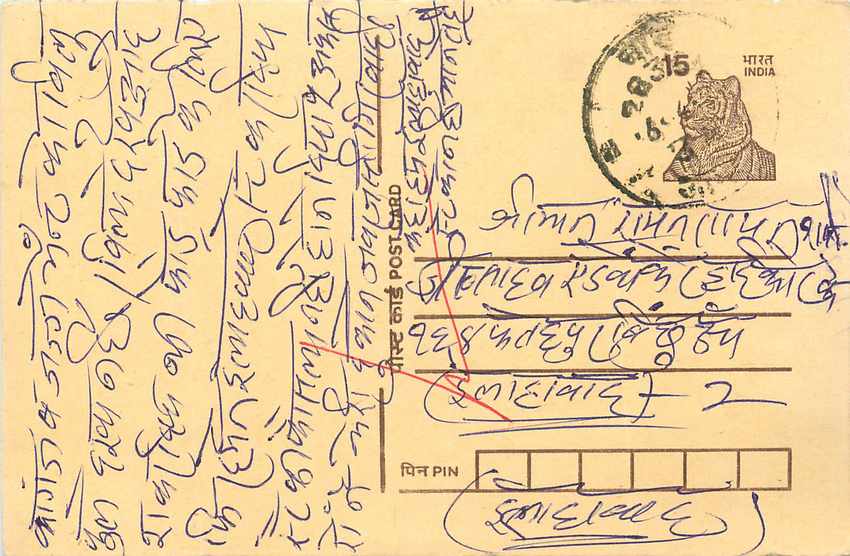 Inde India Cover Card Tigre Tiger
