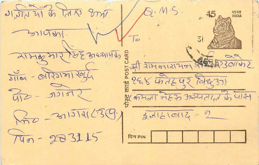 Inde India Cover Card Tigre Tiger