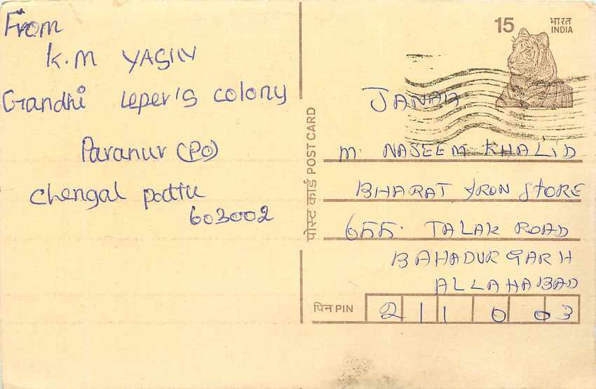 Inde India Cover Card Tigre Tiger