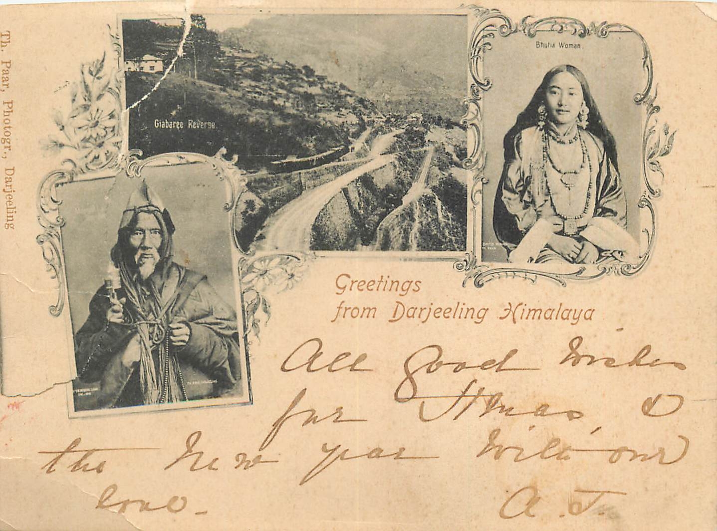 Himalaya Darjeeling Tigre Tiger