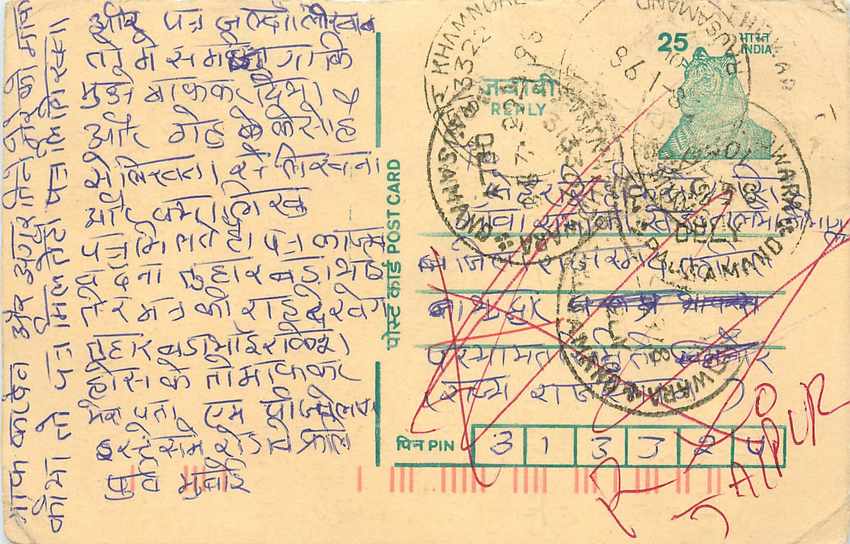 Inde India Cover Card Postal Stationary Tigre