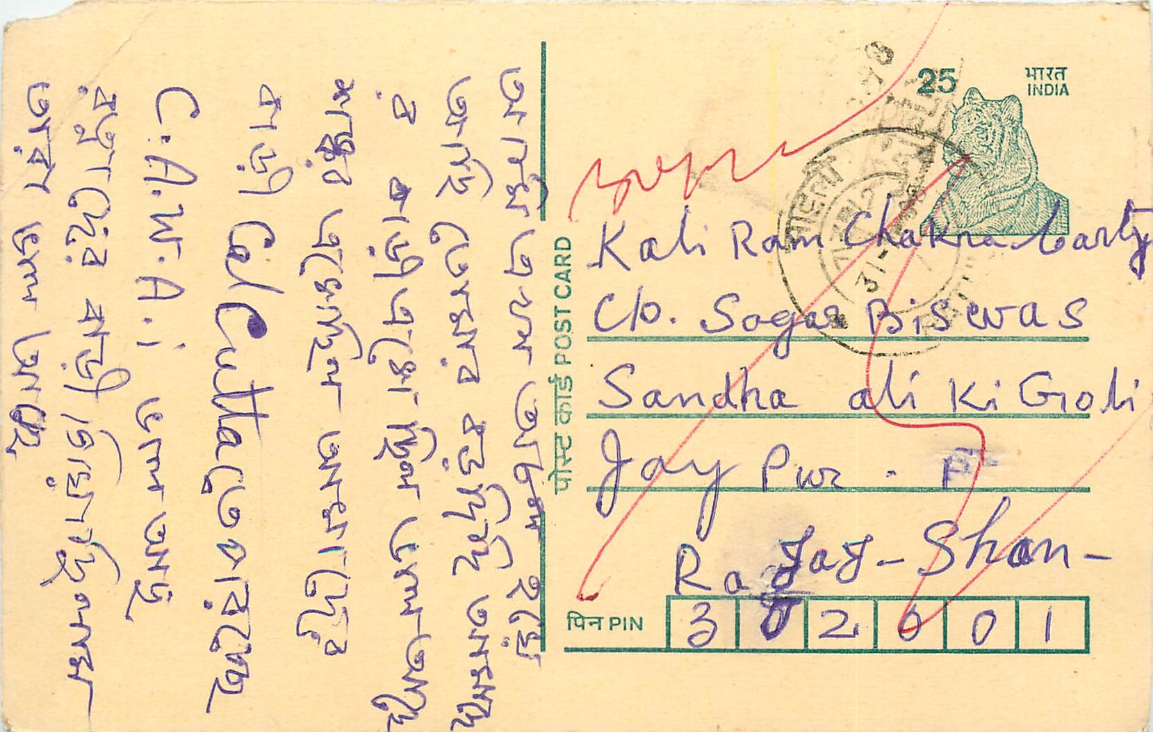 Inde India Cover Card Postal Stationary Tigre
