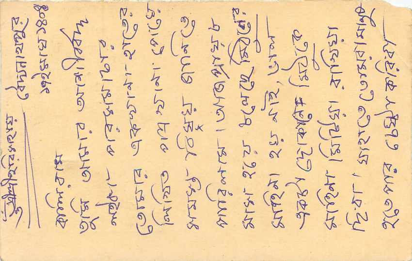 Inde India Cover Card Postal Stationary Tigre — Verso